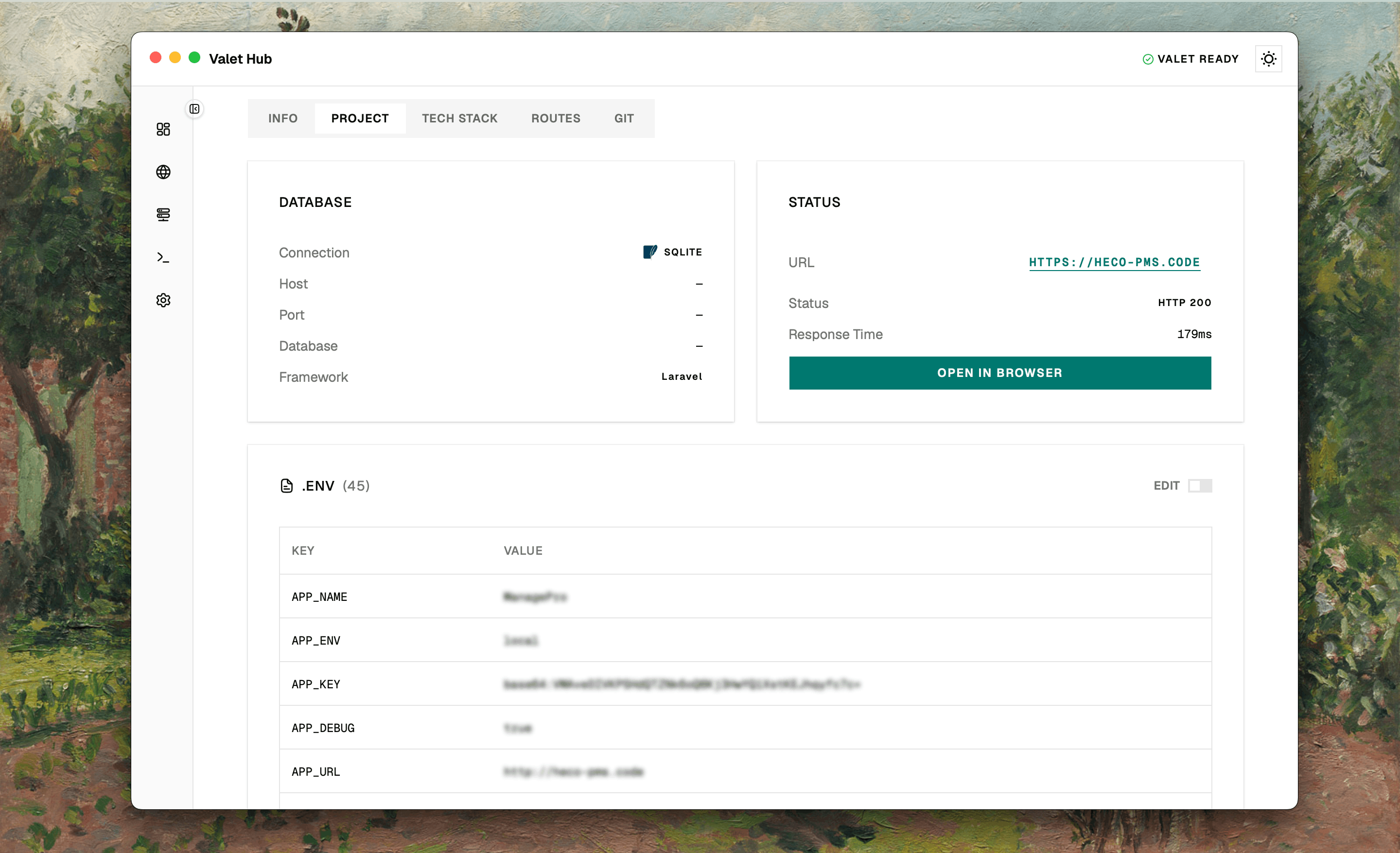 Project tab with database connection info and .env variables table